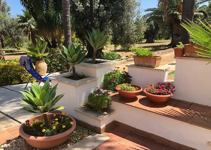 Ponticelli * 卡里尼